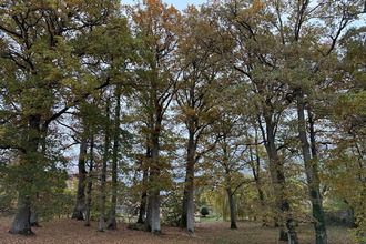 achat maison alencon 61000