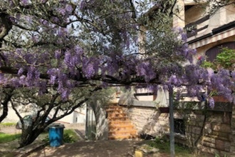 achat maison ales 30100