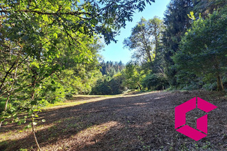 achat maison ambert 63600