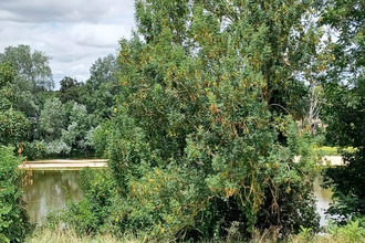achat maison amboise 37400