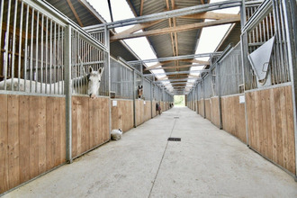 achat maison ambon 56190