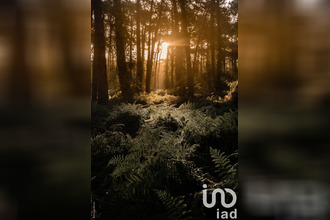 achat maison anglet 64600