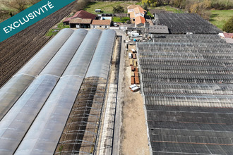 achat maison angouleme 16000