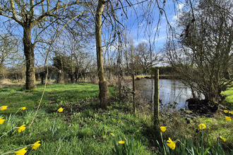 achat maison angrie 49440