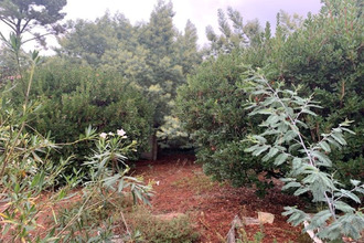 achat maison arcachon 33120