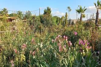 achat maison argeles-sur-mer 66700