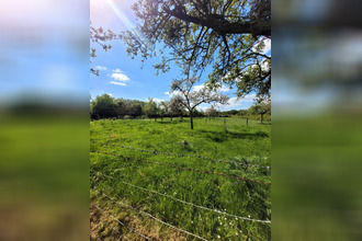 achat maison argences 14370