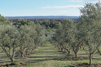 achat maison arles 13200