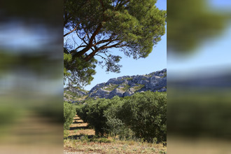 achat maison arles 13200