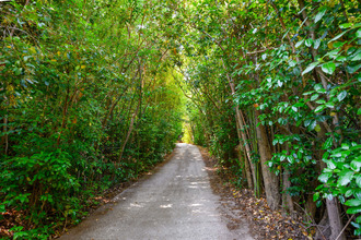 achat maison aubagne 13400