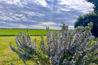 achat maison auberives-sur-vareze 38550