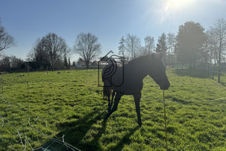 achat maison aubers 59249