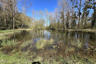 achat maison aubigne-racan 72800