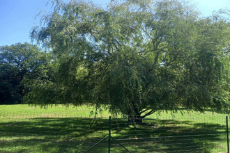 achat maison aubigny 85430