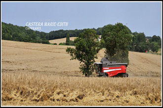 achat maison auch 32000