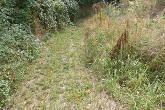 achat maison availles-thouarsais 79600