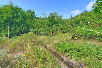 achat maison avene 34260