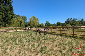 achat maison avignon 84000