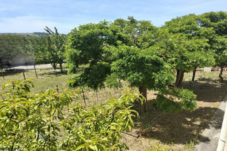 achat maison avignonet-lauragais 31290