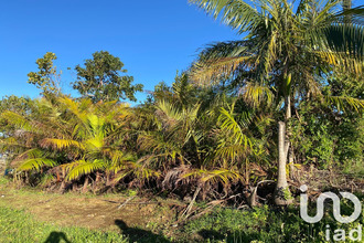 achat maison avirons 97425