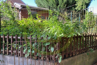 achat maison bachant 59138