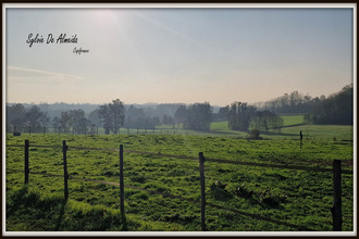 achat maison bage-la-ville 01380