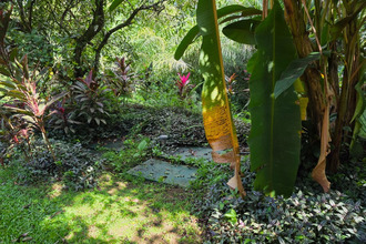 achat maison baie-mahault 97122