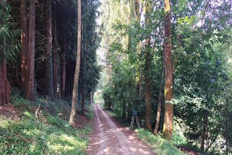 achat maison bais 53160