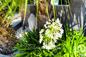 achat maison balaruc-les-bains 34540