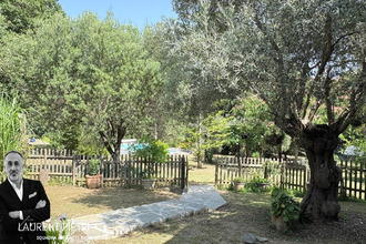 achat maison barbaggio 20253