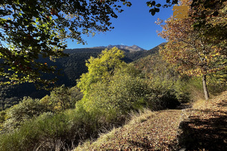 achat maison barrancoueu 65240