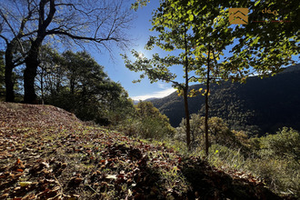 achat maison barrancoueu 65240