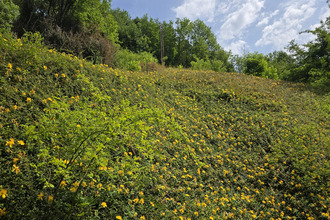 achat maison barraux 38530