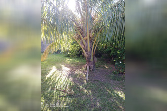 achat maison basse-pointe 97218