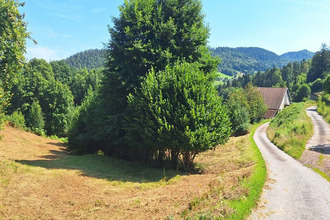 achat maison basse-sur-le-rupt 88120