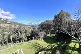 achat maison bastia 20200