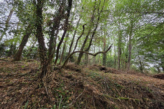 achat maison bazaiges 36270