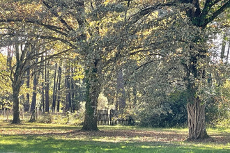 achat maison bazas 33430