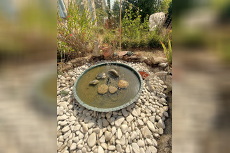 achat maison bazas 33430