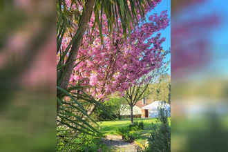 achat maison bazoges-en-pareds 85390