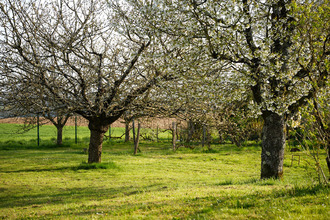 achat maison beaumotte-les-pin 70150