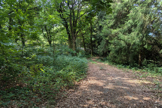 achat maison beaumt-du-lac 87120