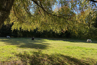 achat maison beaumt-du-lac 87120