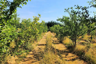 achat maison beaumt-du-perigord 24440