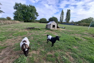 achat maison beaumt-sur-sarthe 72170