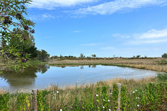 achat maison beauvoir-sur-mer 85230