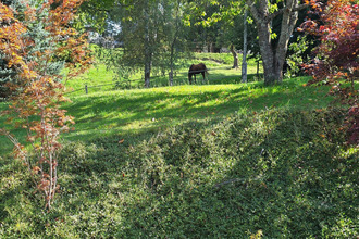 achat maison bellecombe-en-bauges 73340