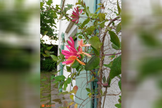 achat maison bg-la-reine 92340