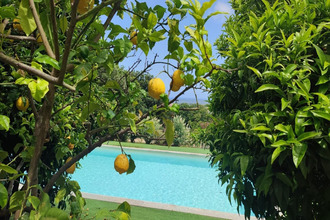 achat maison biguglia 20620