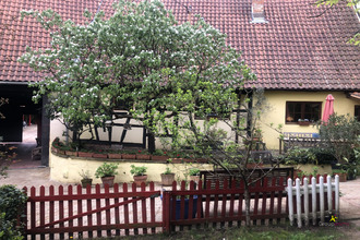 achat maison bischwiller 67240